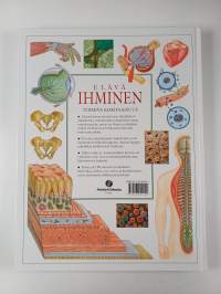 Elävä ihminen : toimiva kokonaisuus