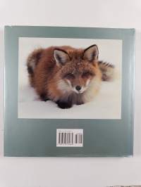 Algonquin Seasons - A Natural History of Algonquin Park
