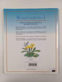 Musiikkivalmennus 1