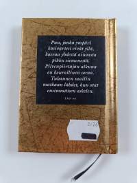 Viisaus