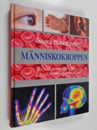 Stora boken om människokroppen så här fungerar våra fantastiska kroppar