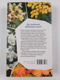 Villit vihreät kaupungit : Suomen kaupunkikasvio