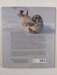Jää hyvin, saimaannorppa