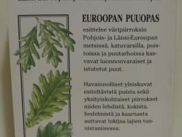 Euroopan puuopas