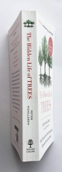 The Hidden Life of Trees