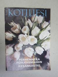 Kotiliesi 1969 nr 11, ilm. 1.6.1969, Perhematka Pohjoismaihin, Kuka maksaa kepposlaskut?, Oman pihan paratiisi rouva Rachel Kari Oulunkylä, Onni &amp; Lempi Saarinen...