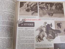 Seura 1947 nr 33, Vaala ohjaa, Nikolas Flamelin salaisuus