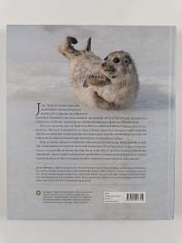 Jää hyvin, saimaannorppa (signeerattu, tekijän omiste)