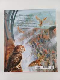 Harry Potter ja viisasten kivi (kuvitettu)