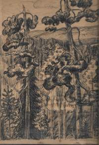 Erkki Honkanen, tussipiirros 1950, koko 40x30 cm  kehystämätön /