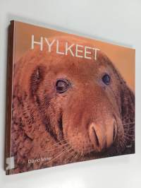 Hylkeet