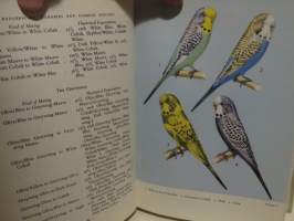 Budgerigars, Canaries and Foreign Finches