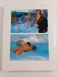 Vinter i taigaskogen