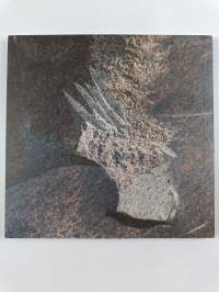Laila Pullinen : Arcus lucis = Valon kaari = Ljusbåge = Arc of Light