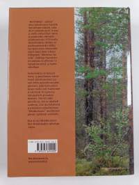 Metsätekoja - ajallaan