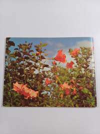 Guide to aomw of East Africa's Flowering trees and shrubs