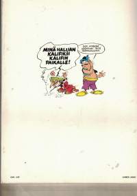 Suurvisiiri Ahmed Ahne