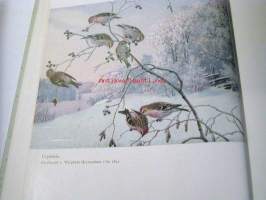 Suomen luonto vuodenaikojen vaihtelussa141 valokuvaa,25 karttaa ja piirrosta