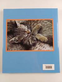 Sleeping in the Sun : Carefree cats of the Greek Islands