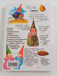 Suuri taskutonttukirja