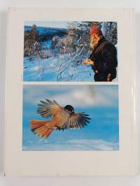 Winter on the Finnish taiga