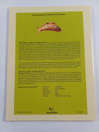 A Golden Souvenir of the Hilltribes of Thailand