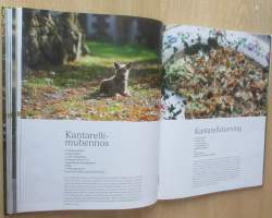Namaste - Sikke Sumarin paratiisi Saarenmaalla