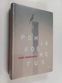 Pohjakosketus