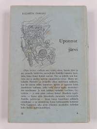 Uponnut järvi