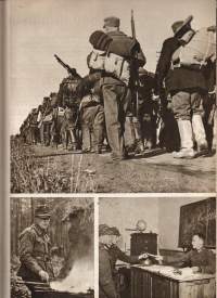 105 taistelun päivää : Suomen ja Neuvostoliiton sota talvella 1939-40 Numeroitu 184/200