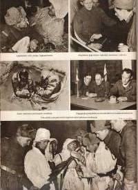 105 taistelun päivää : Suomen ja Neuvostoliiton sota talvella 1939-40 Numeroitu 184/200