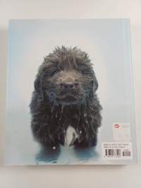 Dogs : 101 adorable breeds