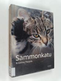 Sammonkatu