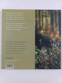 Kimmeltää kesäinen aamu : suomalaisia sielunmaisemia