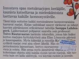 Metsän marjat