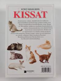 Koko maailman kissat