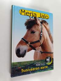Susivaaran aarre