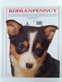 Koiranpennut : johdatus koiranpentujen maailmaan