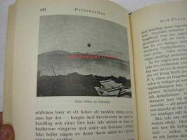 Polarhjälten - En bok om S.A. Andrée