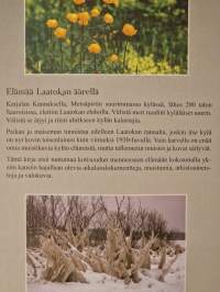 Metsäpirtin Saaroinen : elämää Laatokan äärellä [ Metsäpirtti. Luovutettu Karjala ]