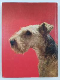 All About Dogs
