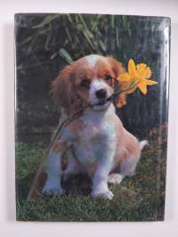 Treasury of Dogs