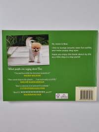 Boo : The Life of the World's Cutest Dog