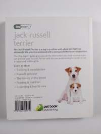 Jack Russell Terrier