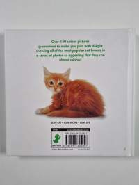 Cat : Love Cat, Love People, Love Life