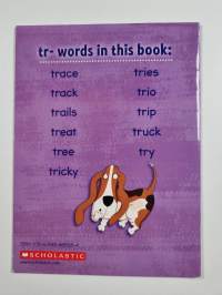 Puppy Pals Phonics Box : A Trip to the Park
