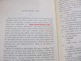 Vieraan kypärän alla : romaani