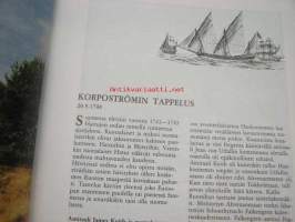 Saaristomerta pinnan päältä ja vähän altakin