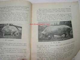 Suomen Sianjalostusyhdistyksen Tiedonantoja 42 heinäkuulla 1935