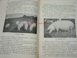 Suomen Sianjalostusyhdistyksen Tiedonantoja 42 heinäkuulla 1935